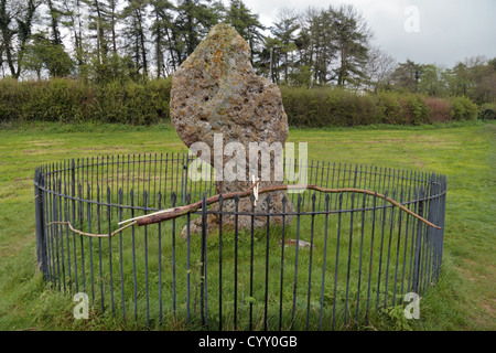 Le roi Pierre Pierre, une partie de l'Rollright Stones, près de Chipping Norton, Oxfordshire, UK. Banque D'Images