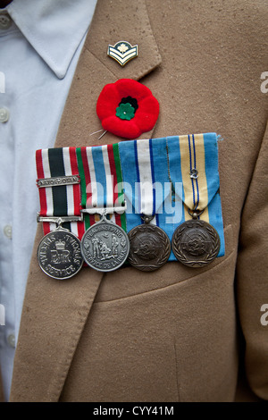 Un ancien combattant porte ses médailles et un coquelicot pendant le jour du Souvenir au cénotaphe à Vancouver's Place de la victoire. Banque D'Images