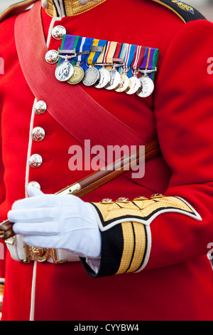 Détail uniforme d'un membre de l'Ecossais Garde à Buckingham Palace, London England, UK Banque D'Images