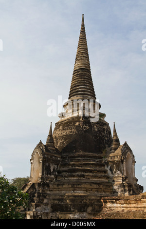 Le Stûpa du temple Wat Phra Sri Sanphet dans le parc historique d'Ayutthaya, Thaïlande Banque D'Images