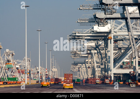 Camions grues portuaires et du robot avec les conteneurs dans un grand port. Banque D'Images