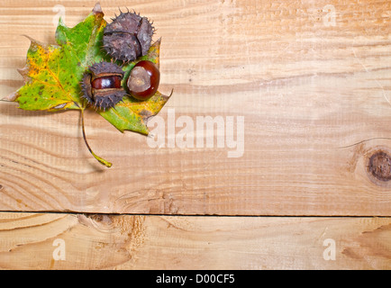 Les feuilles d'automne sur fond de bois Banque D'Images