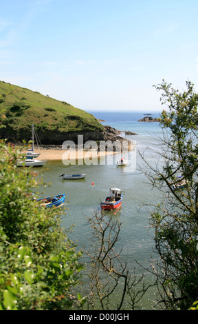 Bateaux dans le port du pays de Galles Galles Pembrokeshire Coast Path Solva UK Banque D'Images