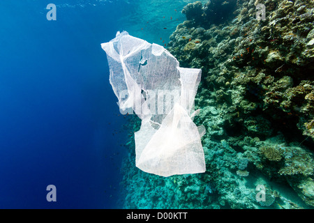 Un sac en plastique des déchets flotte dans la mer à côté d'un mur de corail Banque D'Images