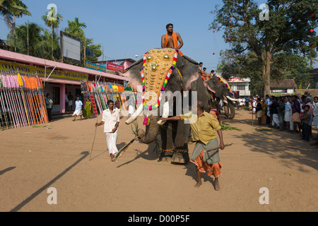 Éléphant Caparisoned portant un Nettipattam d'or menée en place pour la fête du Temple de Goureeswara, Cherai, près de Kochi (Cochin), Kerala, Inde Banque D'Images