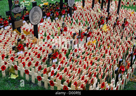 Domaine de Souvenir,une merveilleuse et solennelle place,respectant et en se rappelant les morts pendant les guerres de notre pays. Banque D'Images