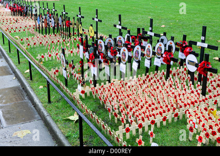 Domaine de Souvenir,une merveilleuse et solennelle place,respectant et en se rappelant les morts pendant les guerres de notre pays. Banque D'Images