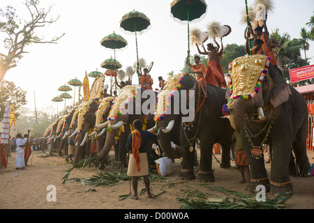 Les éléphants portant des Nettipattam Caparisoned or monté par des prêtres et Venchamaram Muthukuda holding parasols fouets à l'Goureeswara Temple Fête, Cherai, près de Kochi (Cochin), Kerala, Inde Banque D'Images