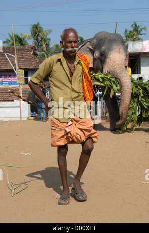 Mahout marcher devant son éléphant à la fête du Temple de Goureeswara, Cherai, près de Kochi (Cochin), Kerala, Inde Banque D'Images