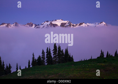 WA05881-00...WASHINGTON - Coucher de soleil sur le Mont Olympe de la fracture haut dans le parc national Olympic. Banque D'Images