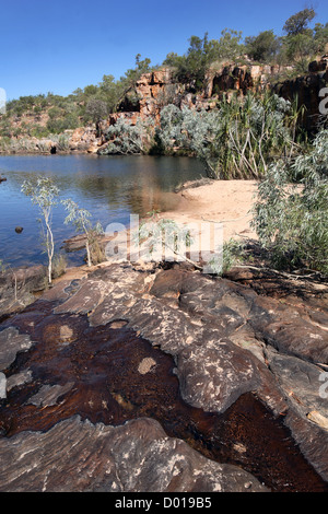 La région de Manning Gorge. De Kimberley, en Australie occidentale. Banque D'Images