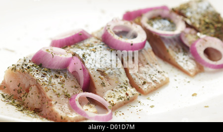 Hareng salé sur la plaque avec de l'oignon rouge Banque D'Images