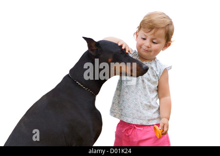 Beau couple. Fille adorable de caresser un grand chien isolated on white Banque D'Images