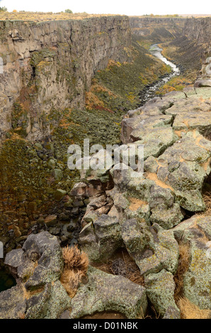 La rivière qui coule à travers l'Idaho Malad Malad de gorge. Banque D'Images