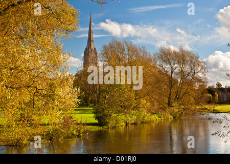 Une vue d'automne de la flèche de la cathédrale de Salisbury, Wiltshire médiévale, England, UK avec la rivière Avon à l'avant-plan. Banque D'Images