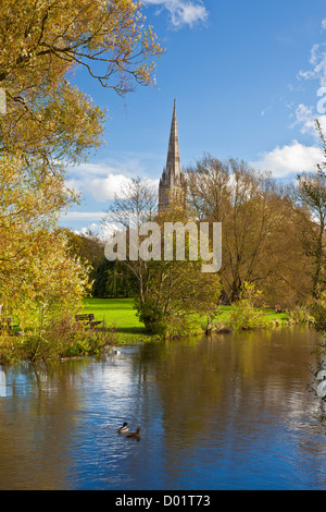 Une vue d'automne de la flèche de la cathédrale de Salisbury, Wiltshire médiévale, England, UK avec la rivière Avon à l'avant-plan. Banque D'Images