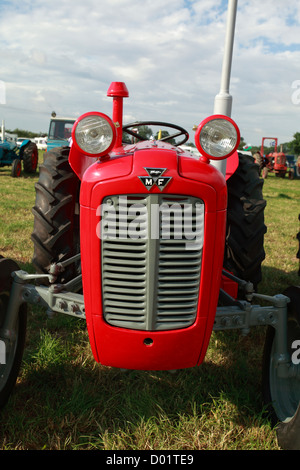Vue avant du tracteur traditionnel vieux Massey Ferguson, aux yeux de la grenouille Banque D'Images