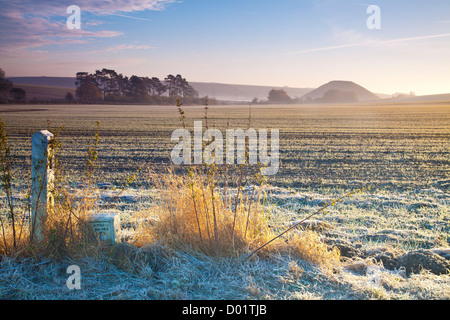 Frosty autumnal campagne du Wiltshire avec paysage néolithique iconique Silbury Hill dans la distance Banque D'Images