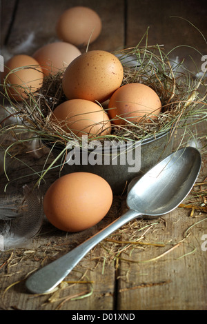 Brown frais oeufs en étain ancien récipient avec cuillère sur fond de bois Banque D'Images