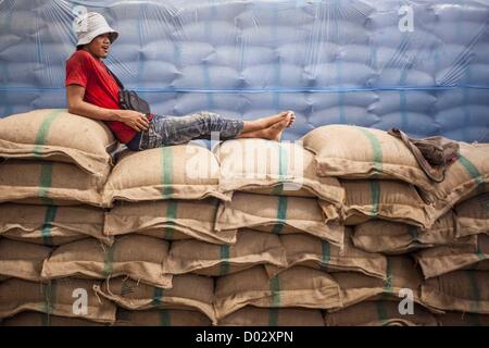 Le 15 novembre 2012 - Pathum Thani, Pathum Thani, Thaïlande - un travailleur prend une pause sur le haut des sacs de riz achetés par le gouvernement dans un entrepôt de riz à Pathum Thani. Le gouvernement du Premier Ministre thaïlandais Yingluck Shinawatra a lancé un vaste soutien des prix ''ACTION'' pour les riziculteurs. Le gouvernement achète le riz des agriculteurs et de l'entreposage jusqu'à l'augmentation des prix mondiaux du riz. Les producteurs de riz, l'épine dorsale de la Thaïlande rurale, comme le plan, mais les exportateurs n'est pas parce qu'ils ont peur de la Thaïlande est en train de perdre sa position de # 1 exportateur de riz au Vietnam, qui a sensiblement amélioré Banque D'Images