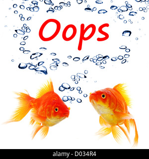 Oops mot et poisson rouge montrant l'échec d'accident ou de danger danger avertissement concept Banque D'Images