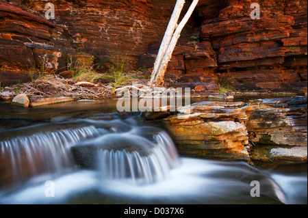 Cascades de Kalamina gorge dans le parc national de Karijini. Banque D'Images