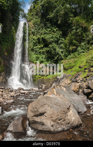 Cascade de Gitgit à, dans le Nord de Bali, Indonésie Banque D'Images