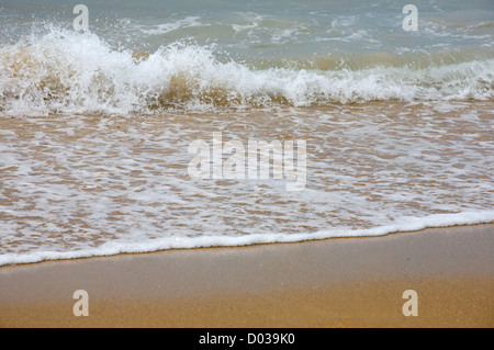 Vagues se brisant sur le rivage de la mer Banque D'Images