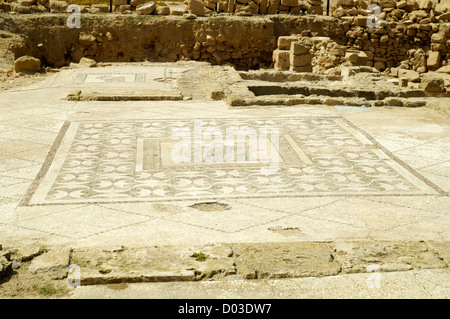 Nea Paphos ancienne, ruines romaines, Villa de Thesus, Paphos Banque D'Images