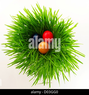 Un nid de pâques avec des œufs dans l'herbe........... Banque D'Images