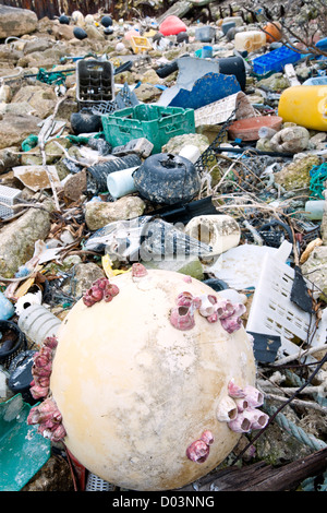 Cinquante tonnes de plastiques arrivent à mi-chemin chaque année apporté par les courants circulaires, connu sous le nom de la North Pacific Gyre. Banque D'Images