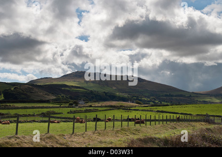 Llyen Aberdesach vers la péninsule au nord du Pays de Galles à Bwlch Mawr Banque D'Images