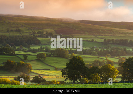 Lever du soleil sur un jour brumeux près de Askrigg dans Wensleydale, Yorkshire Dales National Park, England Banque D'Images