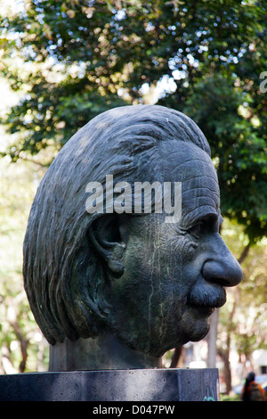 Buste en bronze d'Einstein sur Parque Mexique à Mexico DF Banque D'Images