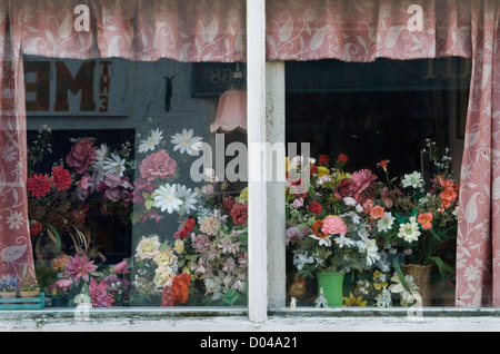 Vitrine domestique en plastique à fleurs. Reflets dans une fenêtre de chalet. Chagford, Devon Angleterre des années 2012 2010 Royaume-Uni. HOMER SYKES Banque D'Images