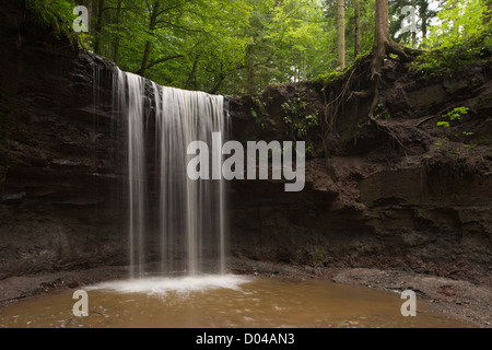 Hörschbash chute près de. Cette cascade de horse shoe falls cinq mètres et l'eau est comme un rideau Banque D'Images