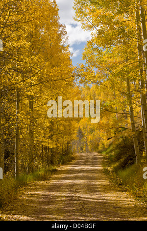 Route à travers la montagne tremble avec l'automne (automne) couleurs de la montagnes de San Juan, au-dessus de la Dolores Vallée ; au sud-ouest le Colorado