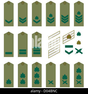 Les grades militaires, galons et insignes. Illustration sur fond blanc. Banque D'Images