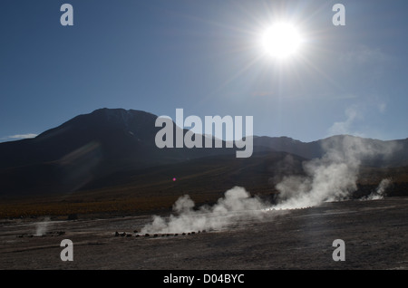 Les Geysers del Tatio. Sources chaudes naturelles dans le désert d'Atacama, Chili Banque D'Images