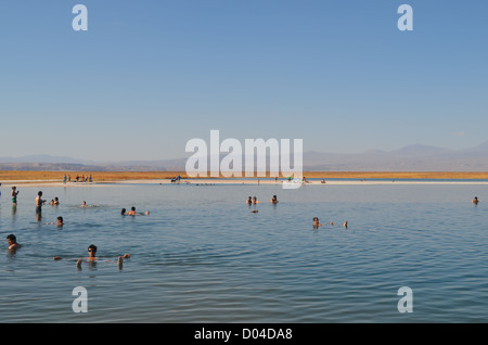 Laguna Cejar dans le Salar de Atacama, un lac salé où les visiteurs peuvent flotter. Banque D'Images