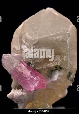 Un cristal de tourmaline rose cultivée sur quartz. Banque D'Images