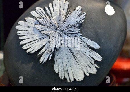 Spécimen de chrysanthème stone, un aggretage Lac-celestine de minéraux de Liuyang, dans la province de Hunan, en Chine. Banque D'Images