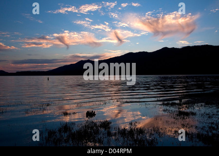 Coucher du soleil sur le lac Quinault montrant des réflexions, Olympic National Park, Washington, USA en juillet Banque D'Images