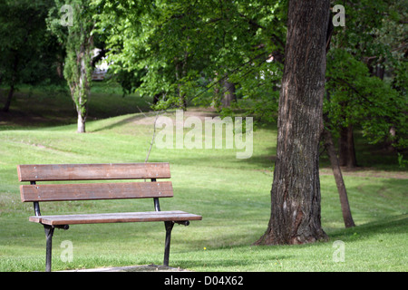 Un banc de bois et d'acier dans un parc à l'ombre d'un grand orme au printemps dans la région de Morden, Manitoba, Canada Banque D'Images