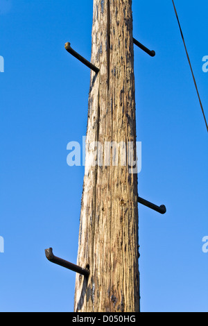 Vieux poteau de téléphone avec barreaux pour l'escalade sur le ciel bleu Banque D'Images