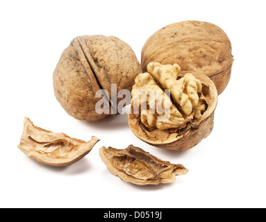 Noyer et noyer un isolé sur fond blanc Banque D'Images