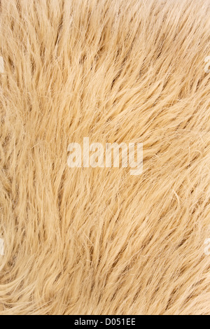 Les textures de la fourrure artificielle Banque D'Images