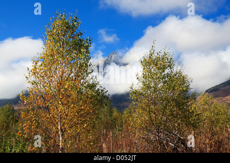 Enveloppée de nuages Lomnicky Stit dans la région de Slovaquie Tatras Banque D'Images