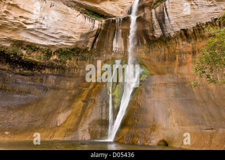 Veau inférieur Creek Falls, Calf Creek, Grand Staircase-Escalante National Monument, au sud de l'Utah, USA Banque D'Images