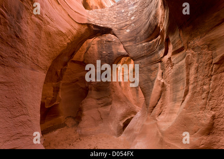 Peek-a-boo slot canyon couper à travers grès Navajo. Grand Staircase-Escalante National Monument, au sud de l'Utah, USA Banque D'Images